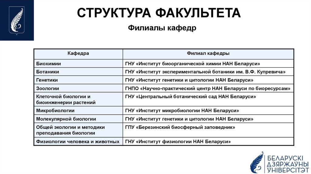 СТРУКТУРА ФАКУЛЬТЕТА
