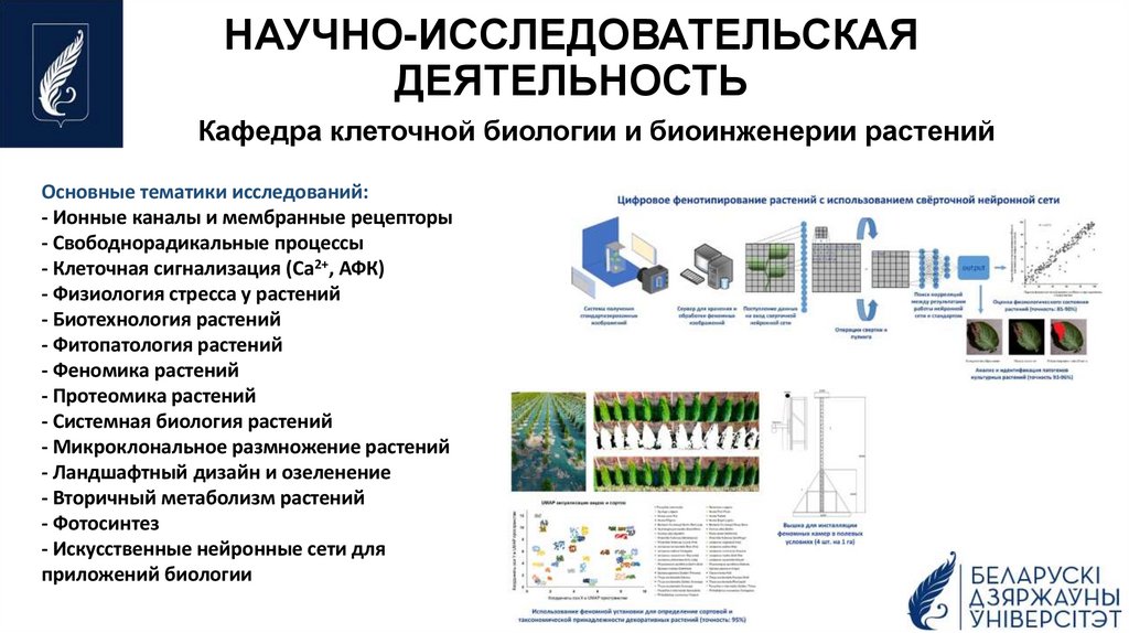 НАУЧНО-ИССЛЕДОВАТЕЛЬСКАЯ ДЕЯТЕЛЬНОСТЬ