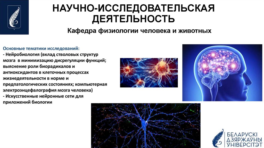 НАУЧНО-ИССЛЕДОВАТЕЛЬСКАЯ ДЕЯТЕЛЬНОСТЬ