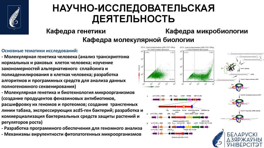 НАУЧНО-ИССЛЕДОВАТЕЛЬСКАЯ ДЕЯТЕЛЬНОСТЬ