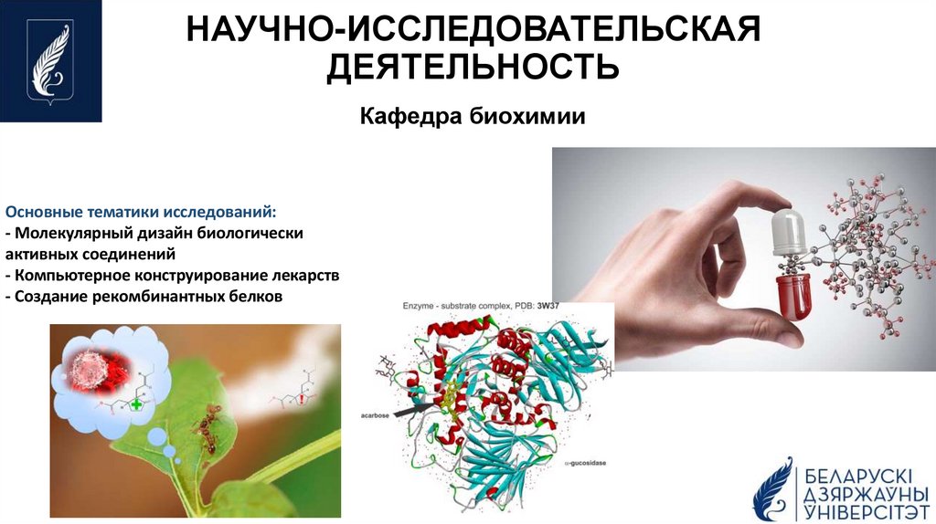 НАУЧНО-ИССЛЕДОВАТЕЛЬСКАЯ ДЕЯТЕЛЬНОСТЬ