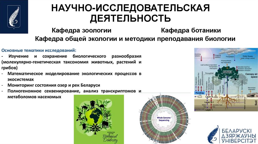 НАУЧНО-ИССЛЕДОВАТЕЛЬСКАЯ ДЕЯТЕЛЬНОСТЬ