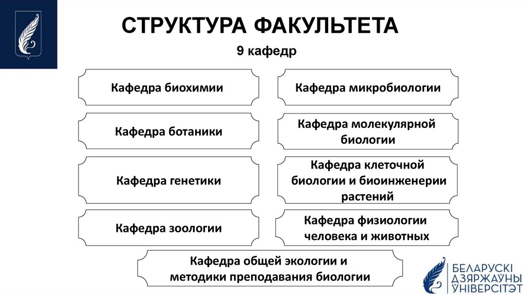 СТРУКТУРА ФАКУЛЬТЕТА