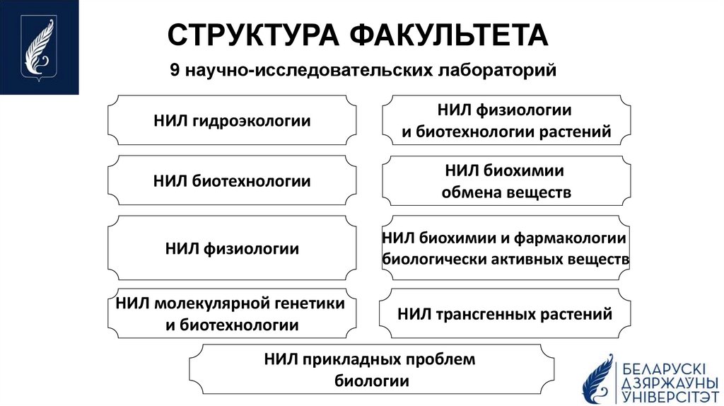 СТРУКТУРА ФАКУЛЬТЕТА