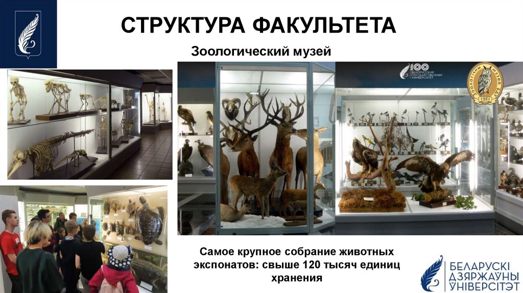 СТРУКТУРА ФАКУЛЬТЕТА