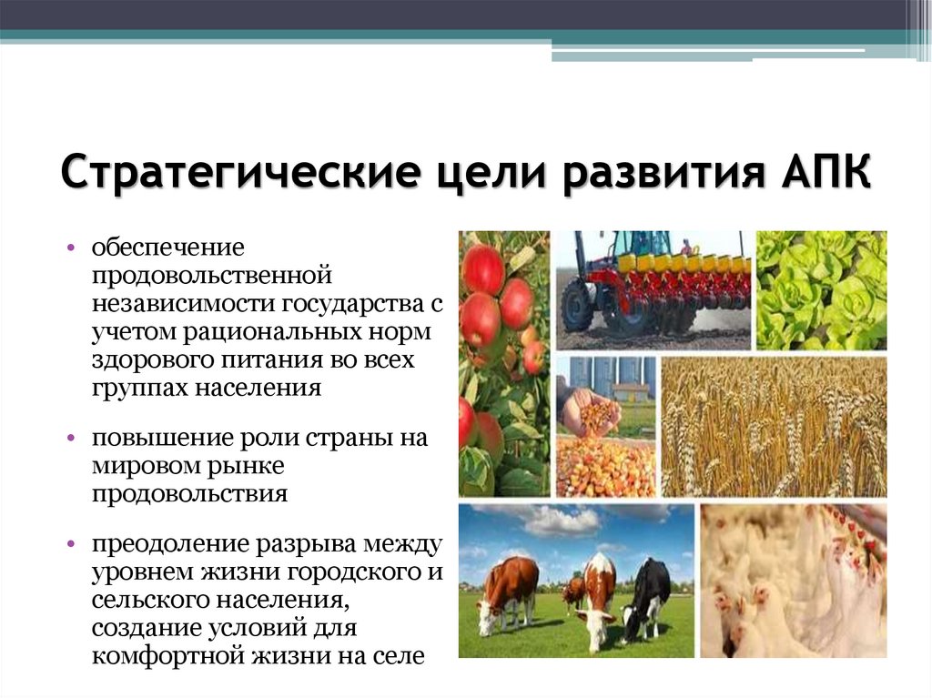 Стратегические цели развития АПК