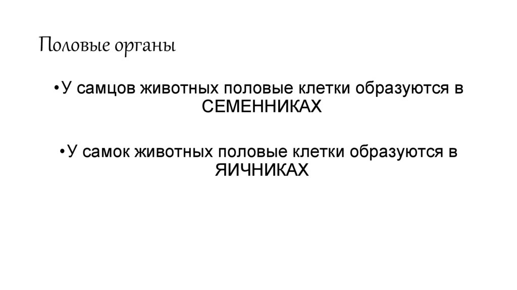 Половые органы