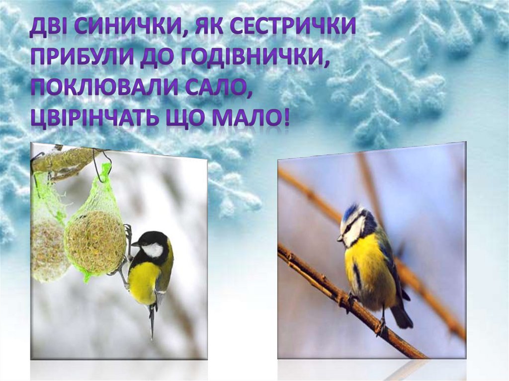 Дві синички, як сестрички Прибули до годівнички, Поклювали сало, Цвірінчать що мало!