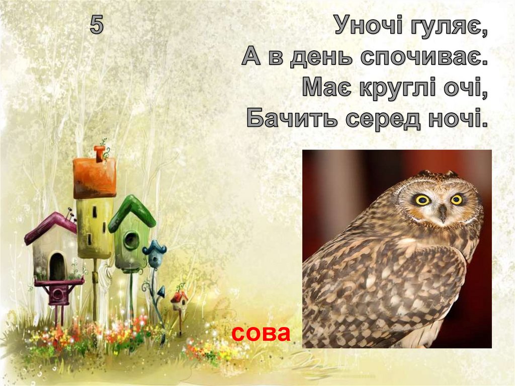 5 Уночі гуляє, А в день спочиває. Має круглі очі, Бачить серед ночі.