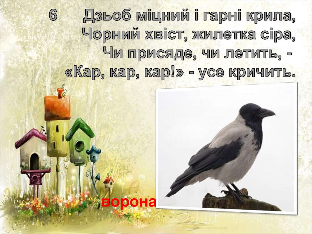 6 Дзьоб міцний і гарні крила, Чорний хвіст, жилетка сіра, Чи присяде, чи летить, -  «Кар, кар, кар!» - усе кричить.
