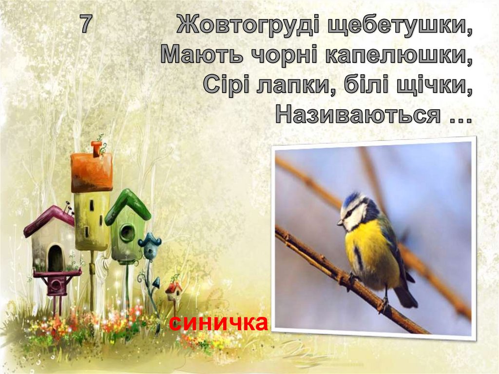 7 Жовтогруді щебетушки, Мають чорні капелюшки, Сірі лапки, білі щічки, Називаються …