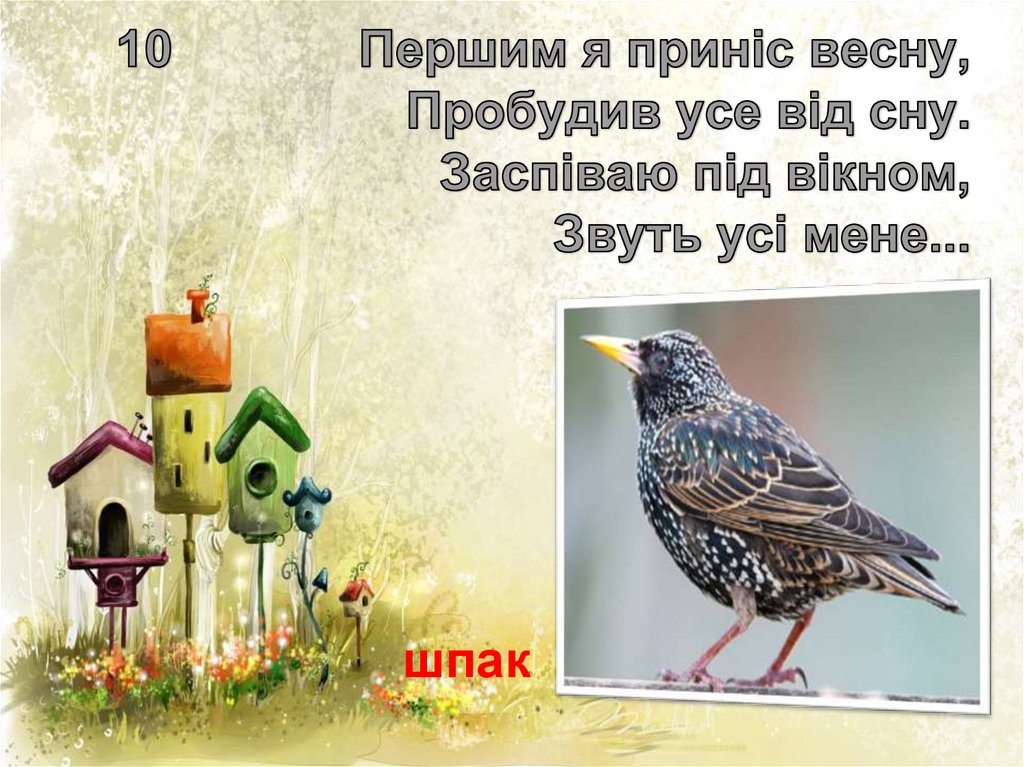 10 Першим я приніс весну, Пробудив усе від сну. Заспіваю під вікном, Звуть усі мене...