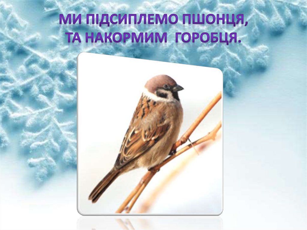 Ми підсиплемо пшонця, Та накормим горобця.