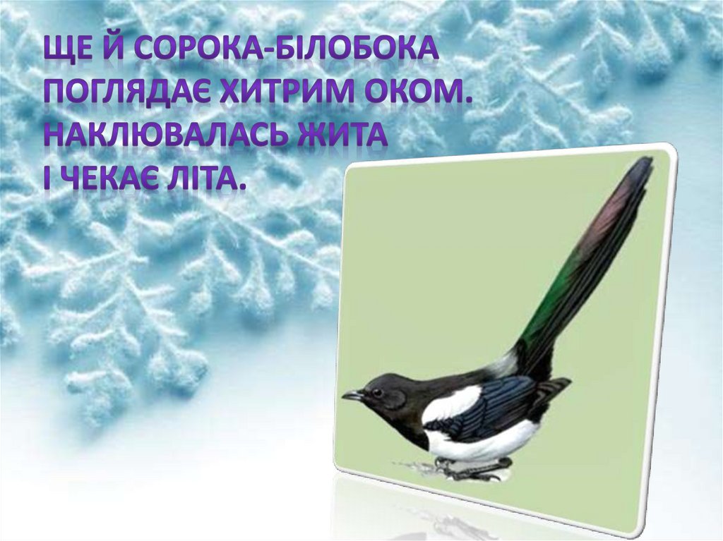Ще й сорока-білобока Поглядає хитрим оком. Наклювалась жита І чекає літа.