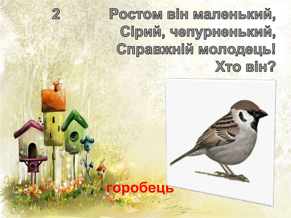 2 Ростом він маленький, Сірий, чепурненький, Справжній молодець! Хто він?