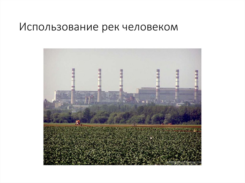 Использование рек человеком