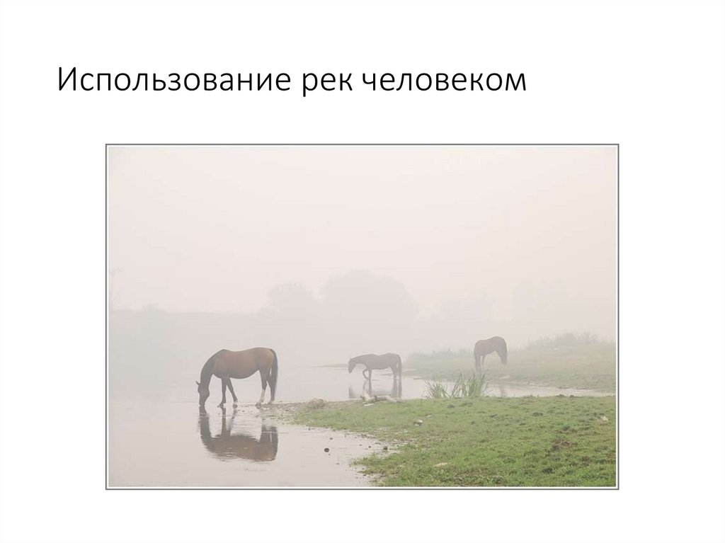 Использование рек человеком