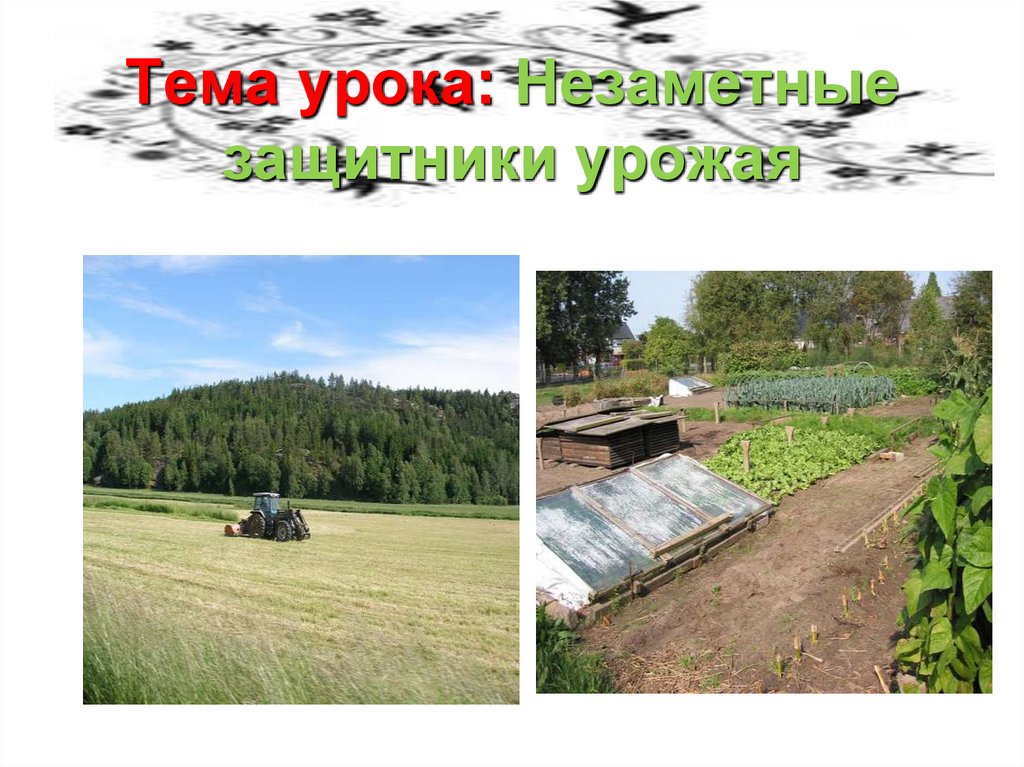 Тема урока: Незаметные защитники урожая