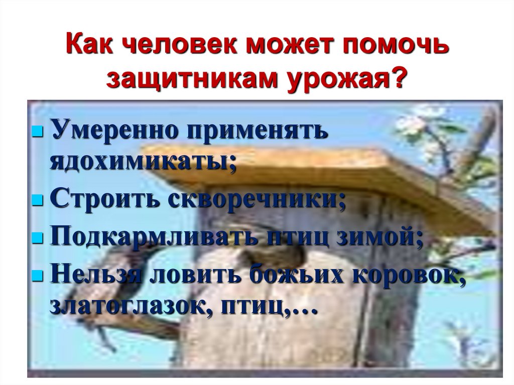 Как человек может помочь защитникам урожая?