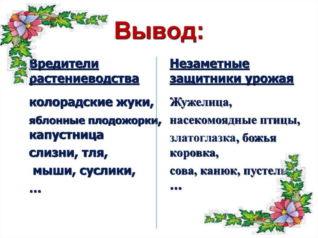 Вывод:
