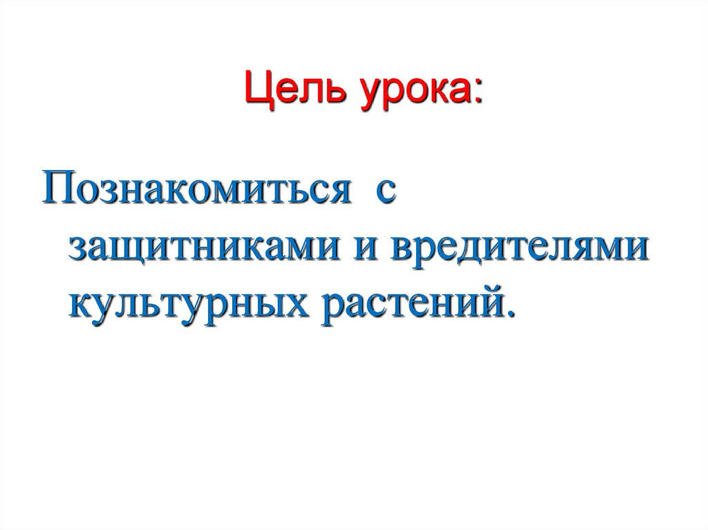  Цель урока: