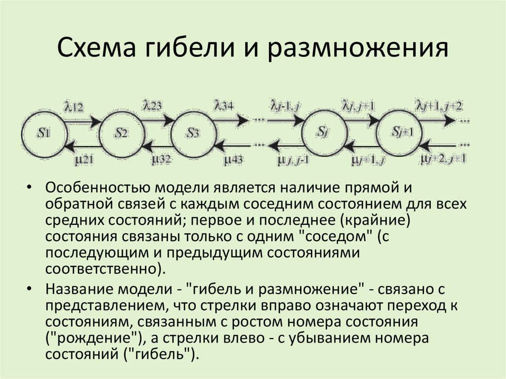 Схема гибели и размножения