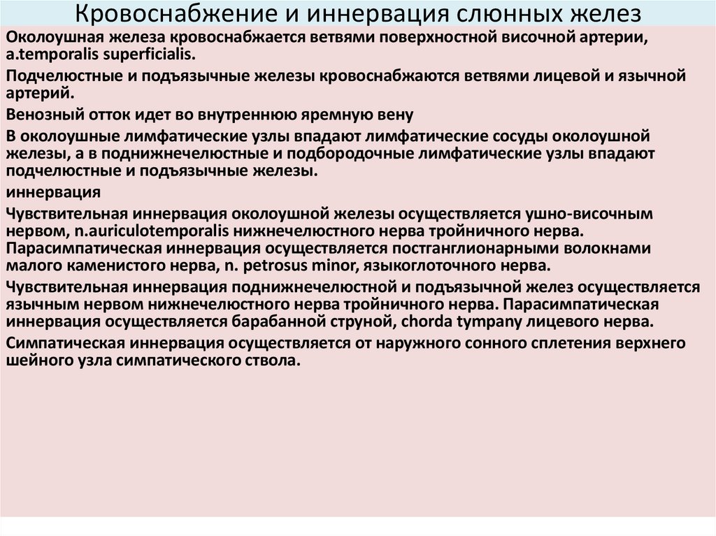 Кровоснабжение и иннервация слюнных желез