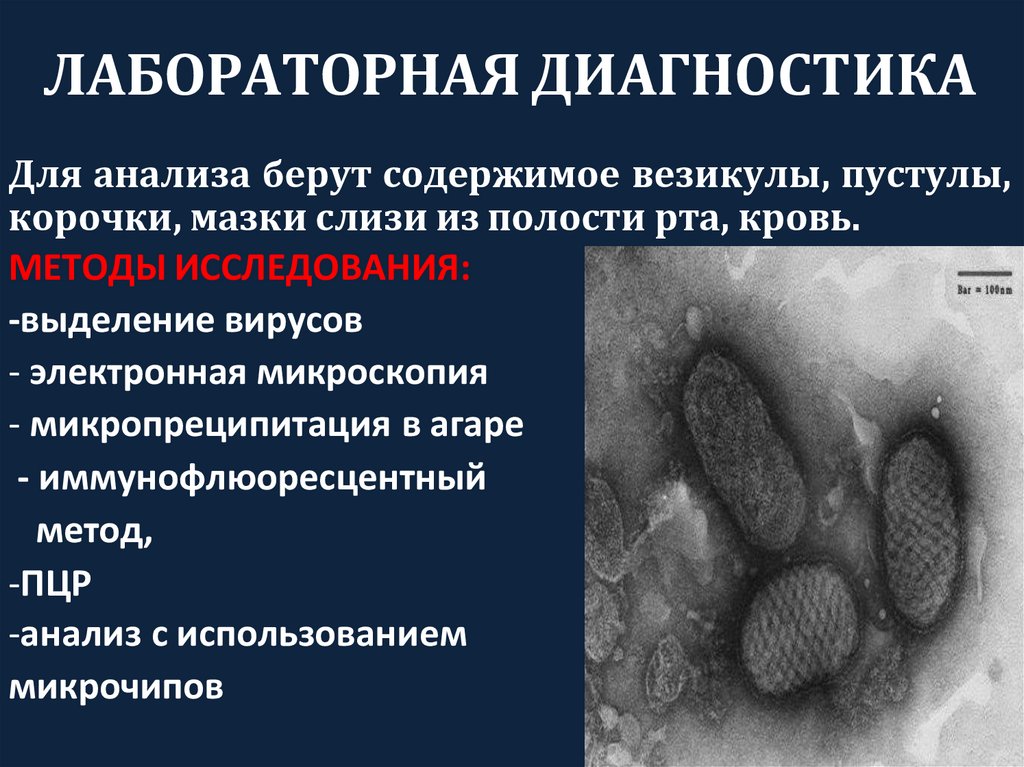 ЛАБОРАТОРНАЯ ДИАГНОСТИКА