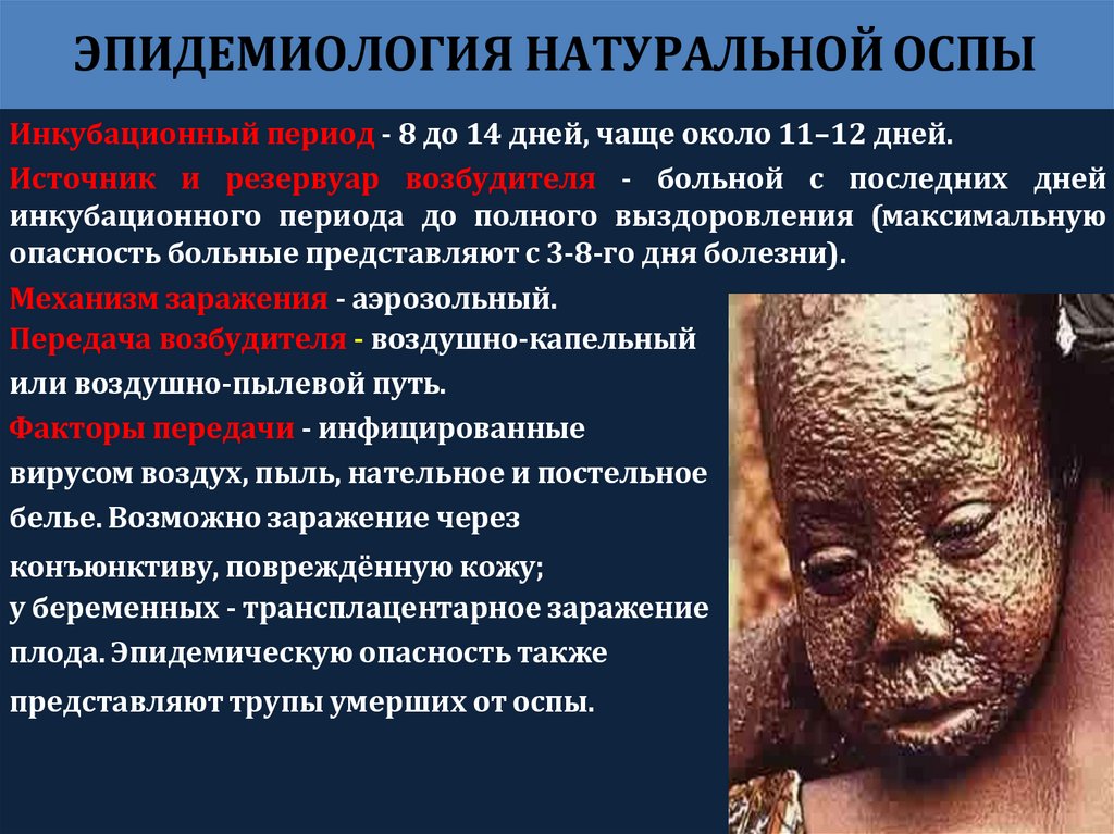 ЭПИДЕМИОЛОГИЯ НАТУРАЛЬНОЙ ОСПЫ