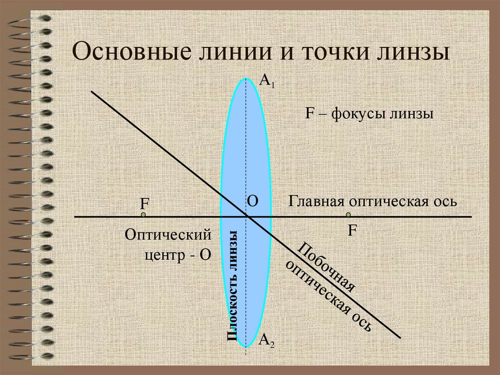 Основные линии и точки линзы