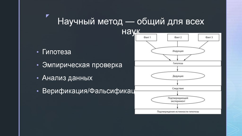 Научный метод — общий для всех наук