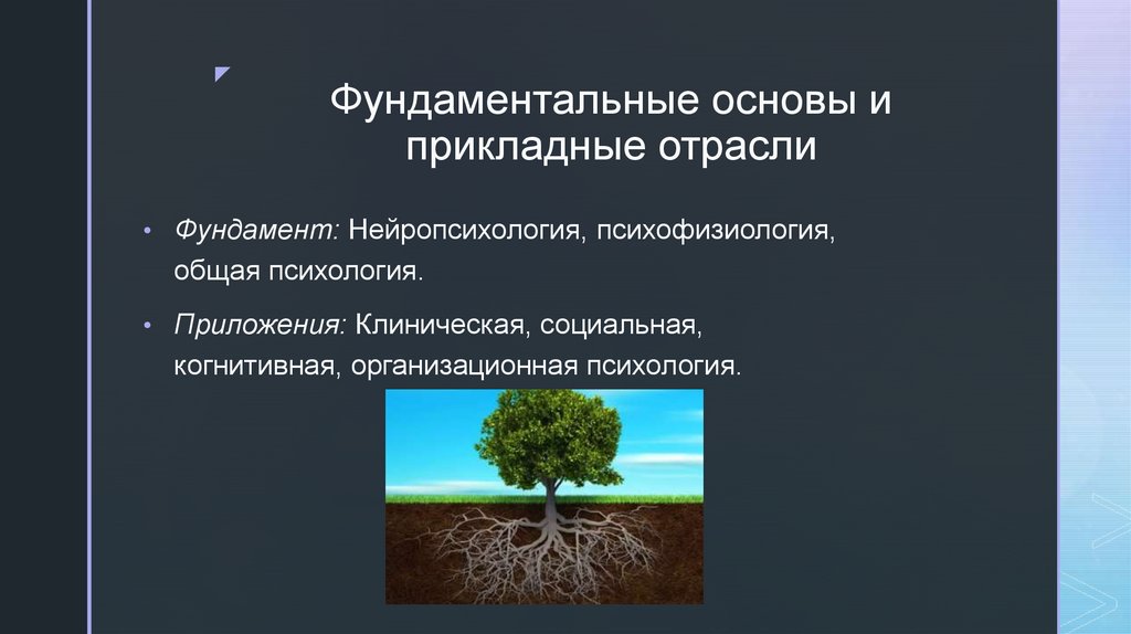 Фундаментальные основы и прикладные отрасли