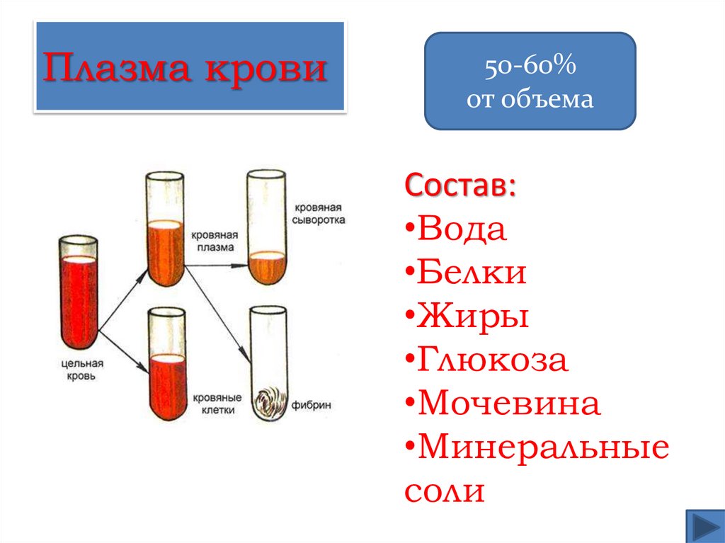 Плазма крови