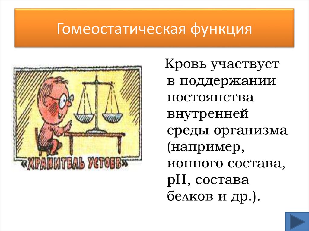 Гомеостатическая функция