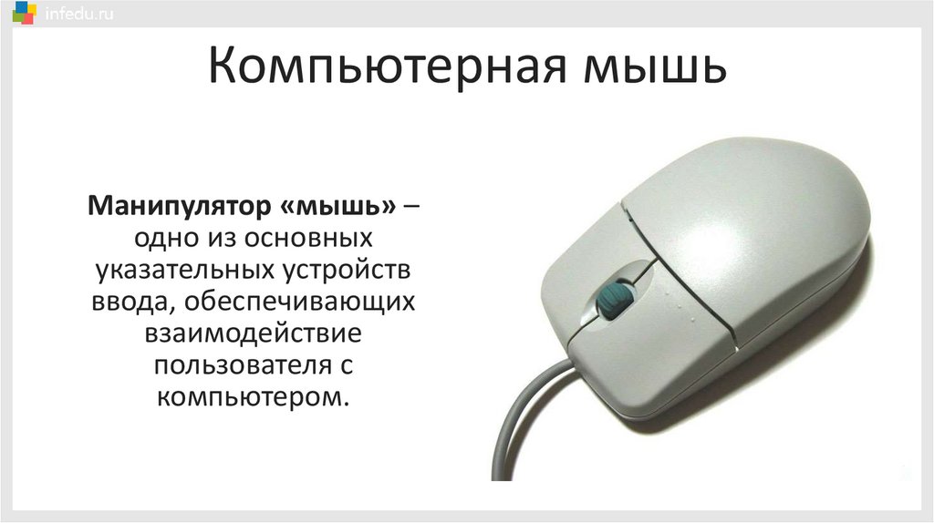 Компьютерная мышь