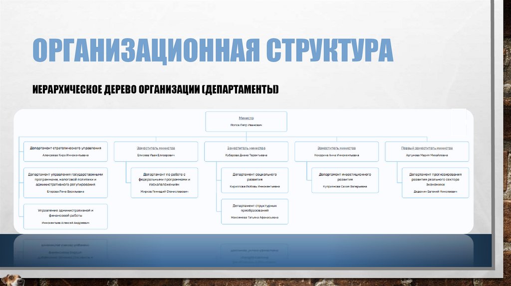 Организационная структура