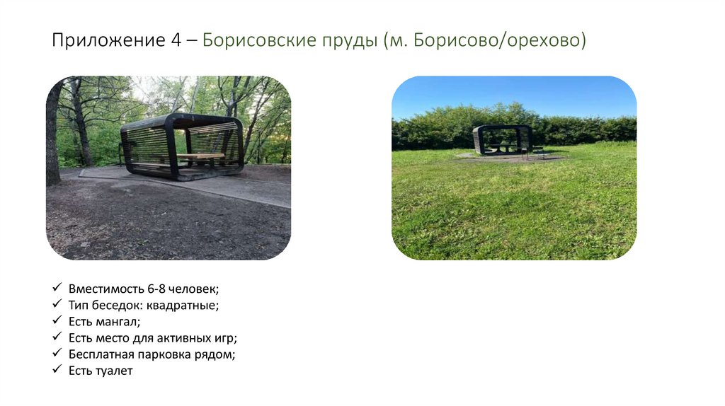Приложение 4 – Борисовские пруды (м. Борисово/орехово)