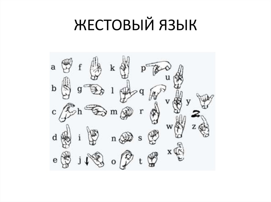 ЖЕСТОВЫЙ ЯЗЫК