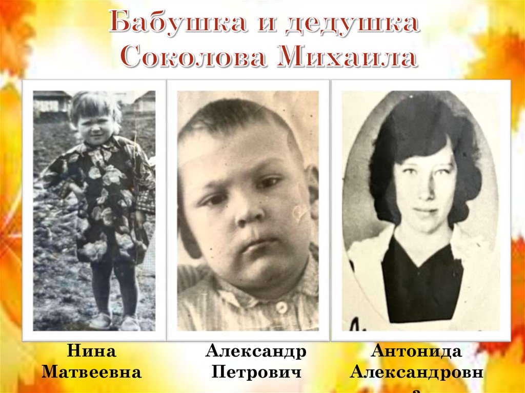 Бабушка и дедушка Соколова Михаила