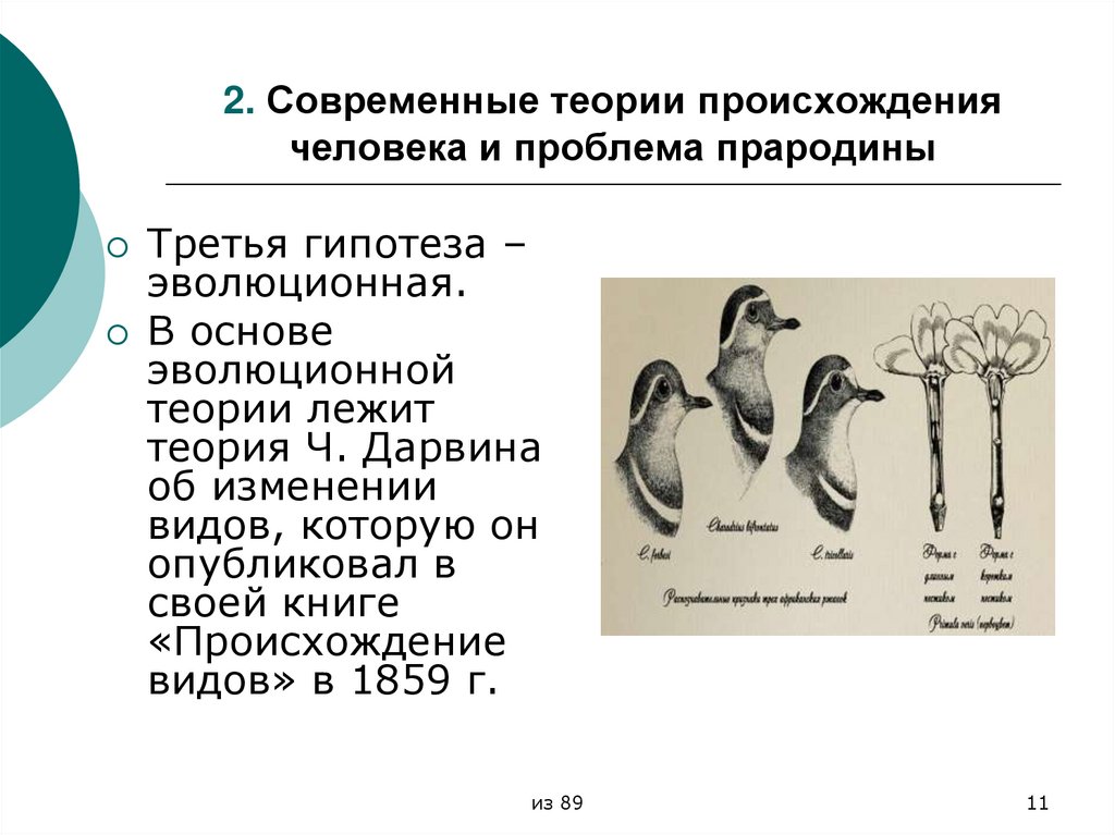 2. Современные теории происхождения человека и проблема прародины