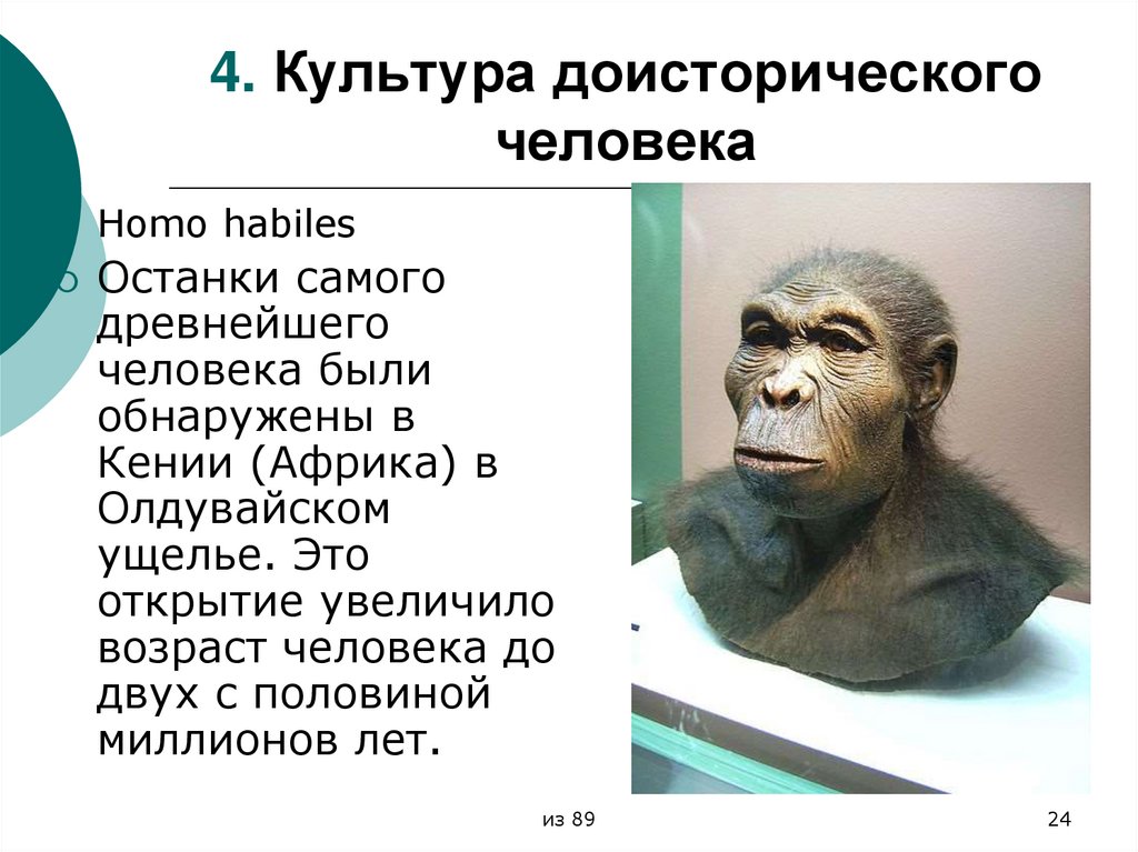 4. Культура доисторического человека