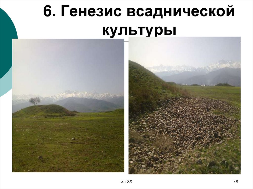 6. Генезис всаднической культуры