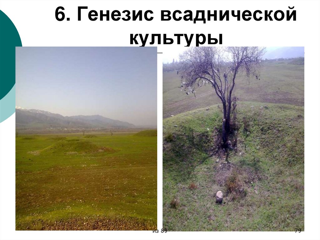 6. Генезис всаднической культуры