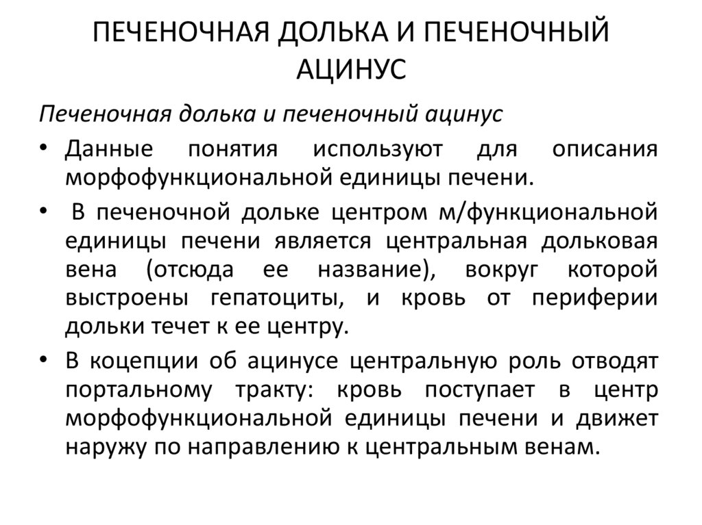 ПЕЧЕНОЧНАЯ ДОЛЬКА И ПЕЧЕНОЧНЫЙ АЦИНУС