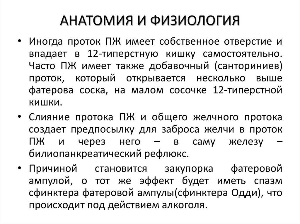 АНАТОМИЯ И ФИЗИОЛОГИЯ