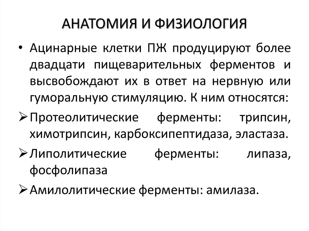 АНАТОМИЯ И ФИЗИОЛОГИЯ