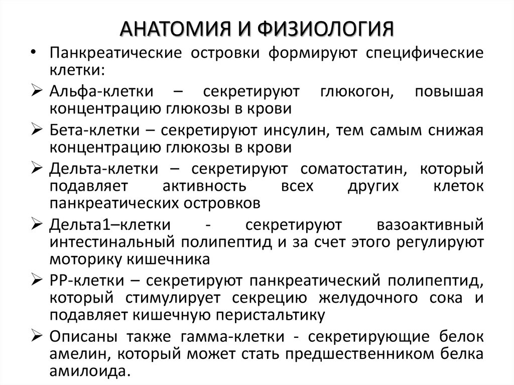 АНАТОМИЯ И ФИЗИОЛОГИЯ