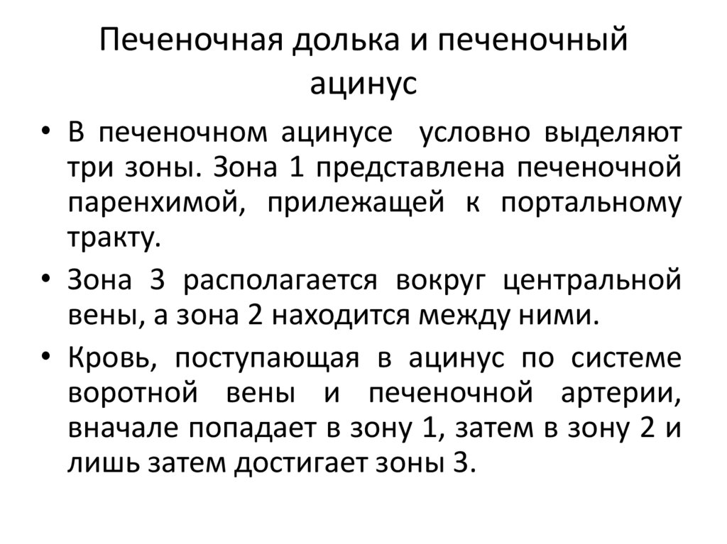 Печеночная долька и печеночный ацинус