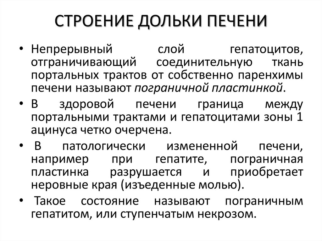 СТРОЕНИЕ ДОЛЬКИ ПЕЧЕНИ