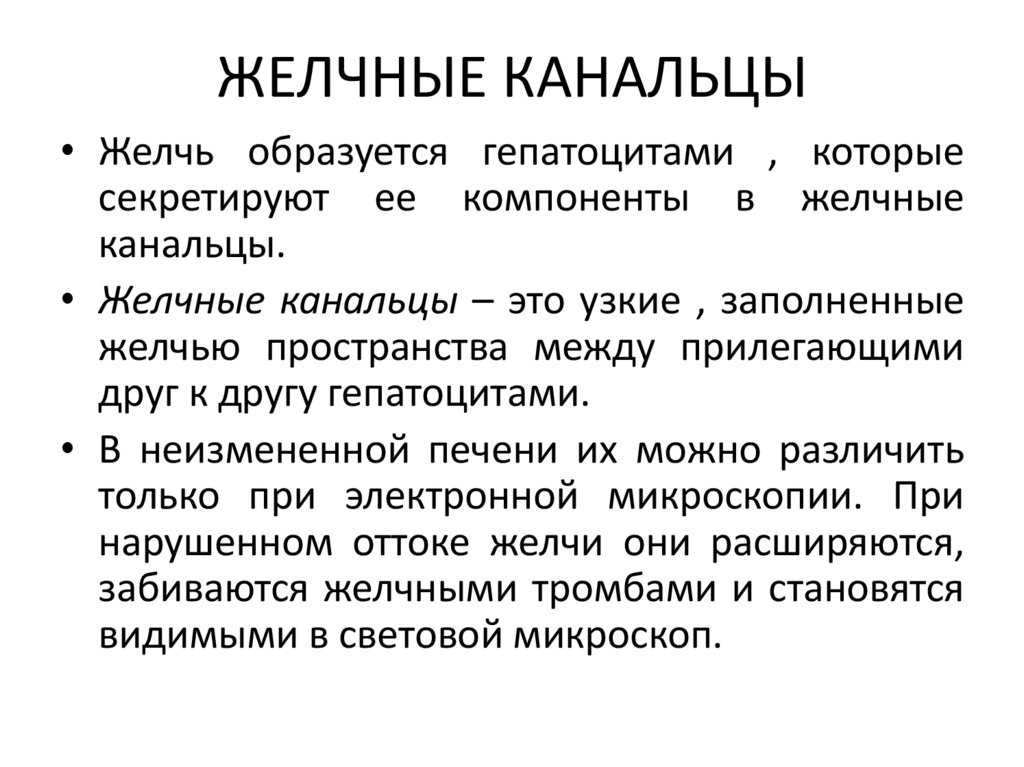 ЖЕЛЧНЫЕ КАНАЛЬЦЫ